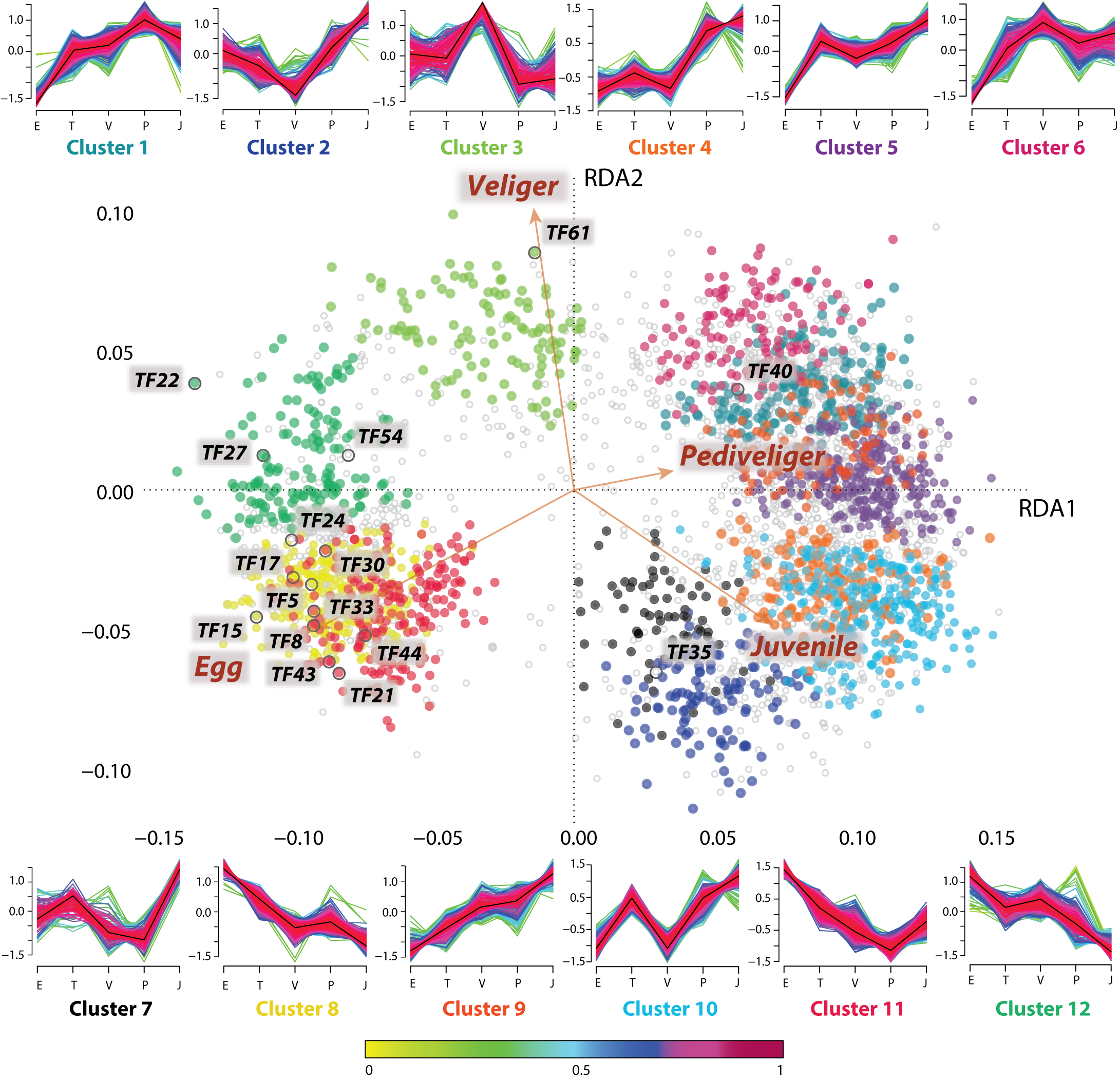 Redundancy analysis